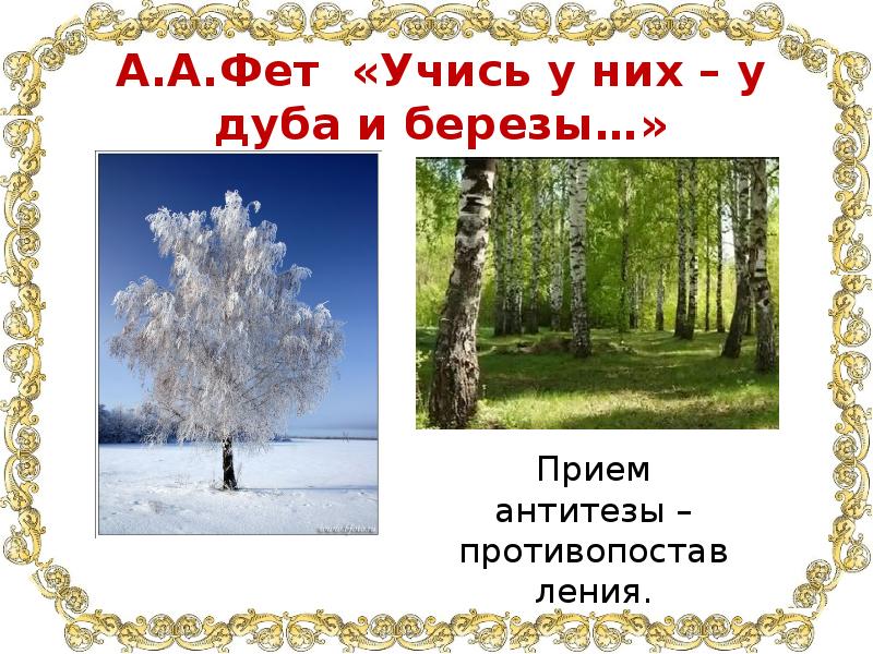 Фет учись у них у дуба анализ