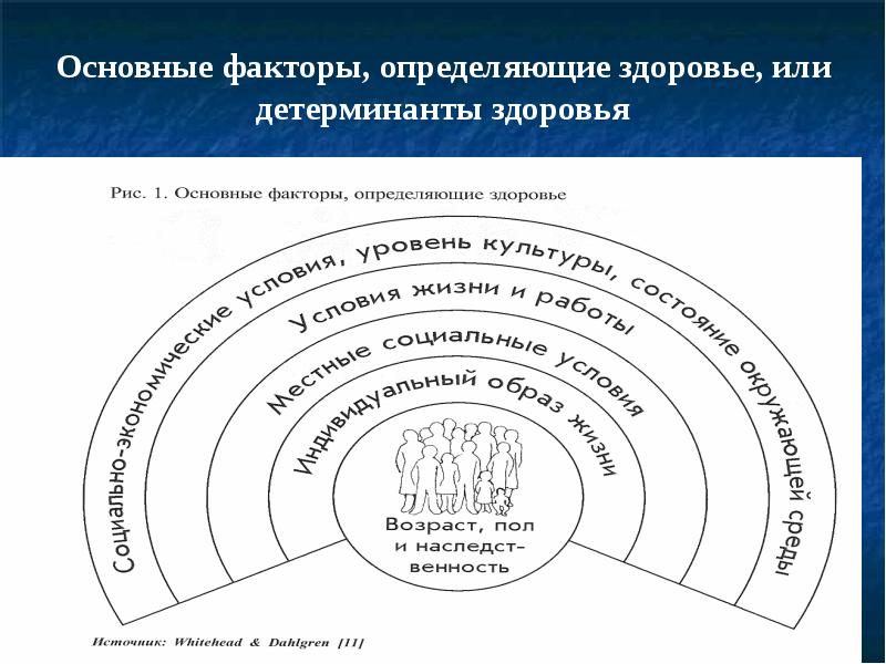Факторы риска определяющие здоровье населения. Границы биосферы ограничивающие факторы. Ключевые факторы успеха в отрасли. Типы факторов производства. Ключевой фактор определение.