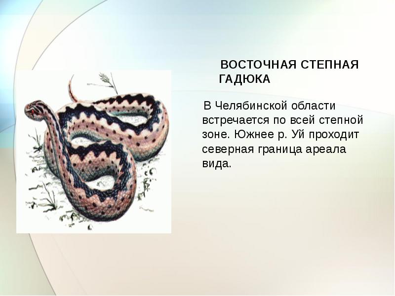 Исчезающие виды животных в челябинской области презентация