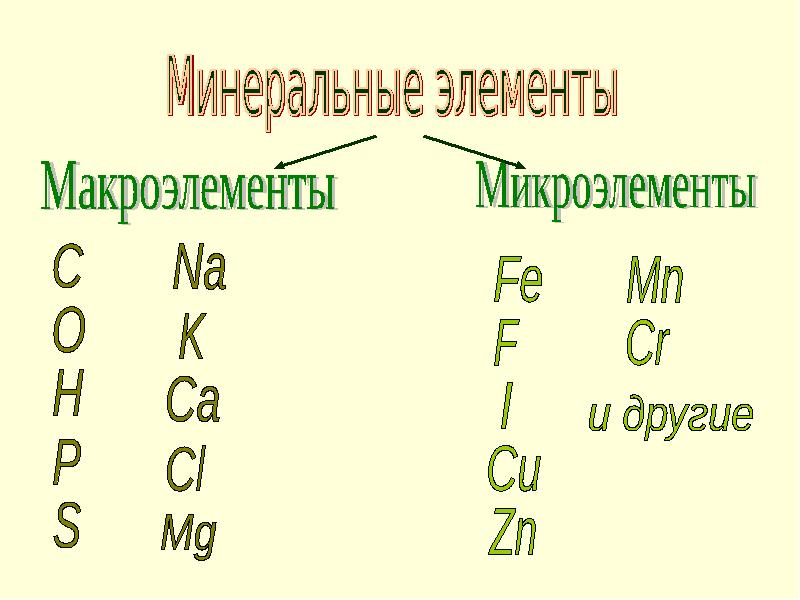 Минеральные элементы