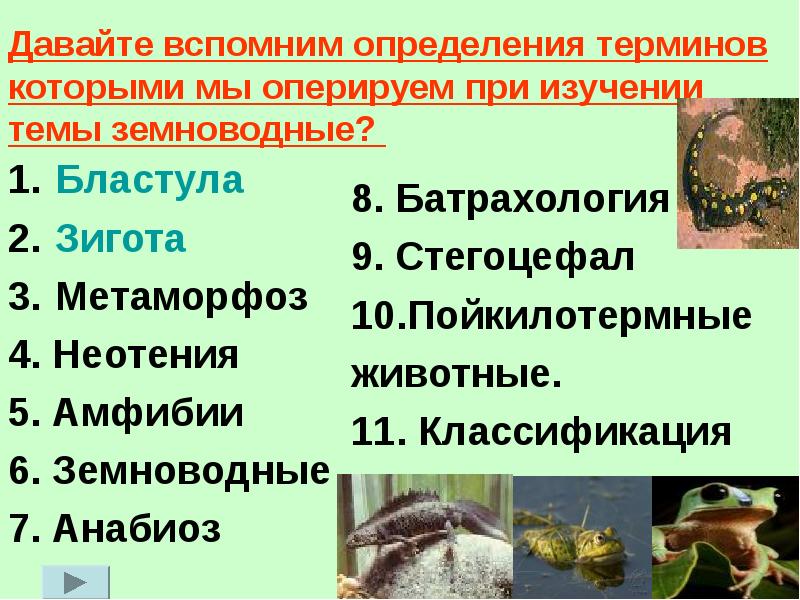 Многообразие земноводных 7 класс таблица