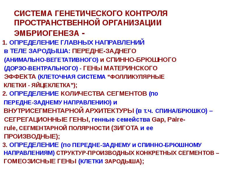 организация наследственного материала бактерий. гены транскриптона экзон интрон. генетический контроль эмбриогенеза. генетическая система. система генетика.