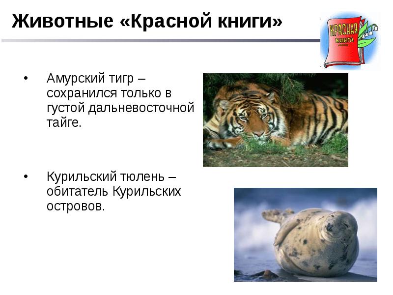 Странички красной книги. Красная книга. Животные красной книги презентация 3 класс. Животные красной книги ставропольского края. Животные красной книги нуждающиеся в охране.