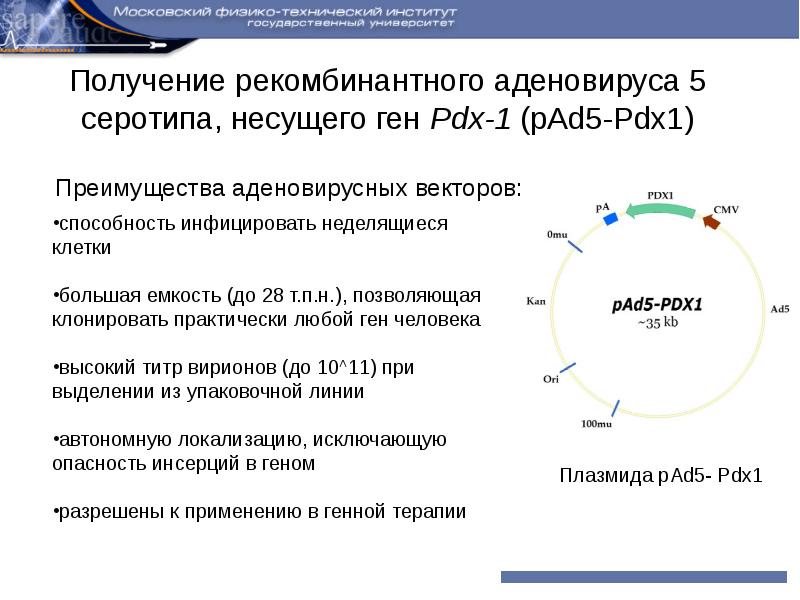 Получение рекомбинантного. Аденовирус 5 серотипа что это. Рекомбинантные аденовирусные частицы. Аденовирус 26 и 5 серотипа. Рекомбинантные аденовирусные частицы 26 серотипа что это.