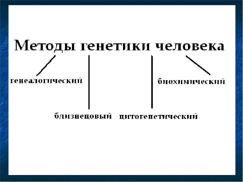 Проект по теме генетика и наследственные болезни человека