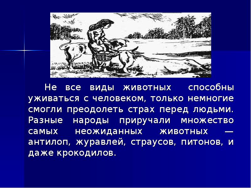 Презентация по биологии 7 класс одомашнивание животных