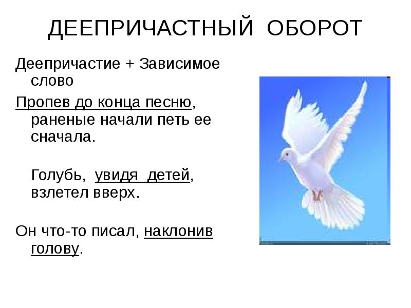 Текст голуб. Предложение со словом голубь. Предложение про голубя. Голубь придумать предложение. Загадка про голубя для детей.