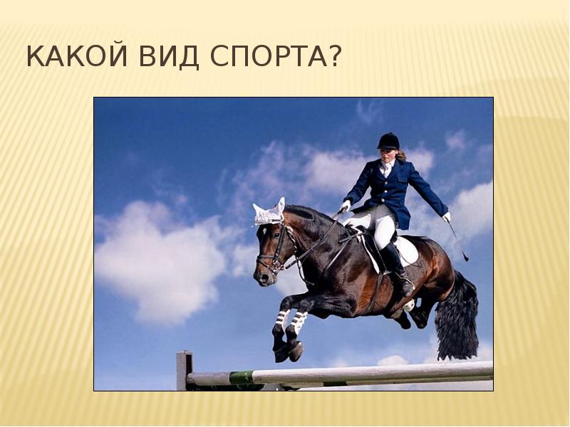 Нести какой вид. Какой вид спорта самый благородный. Какие виды. Добиваясь какой вид. Какой вид спорта любил толстой.