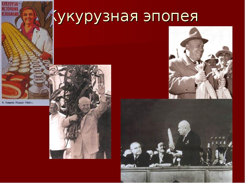 Лучшие эпопеи. Кукурузная эпопея Хрущева кратко. 1953 1964 Кукурузная эпопея. 1955-1962 Кукурузная эпопея. Кукурузная эпопея. В СССР В 1953-1964 гг..