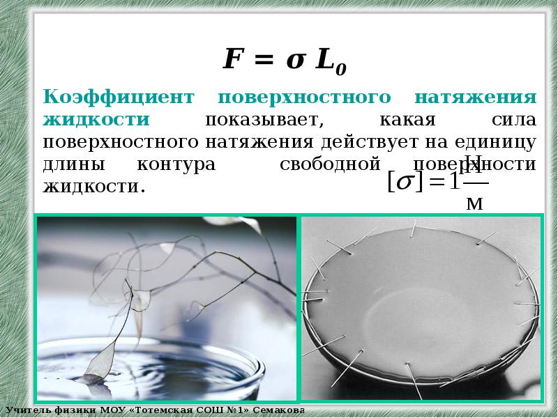 Презентация поверхностное натяжение жидкости 10 класс