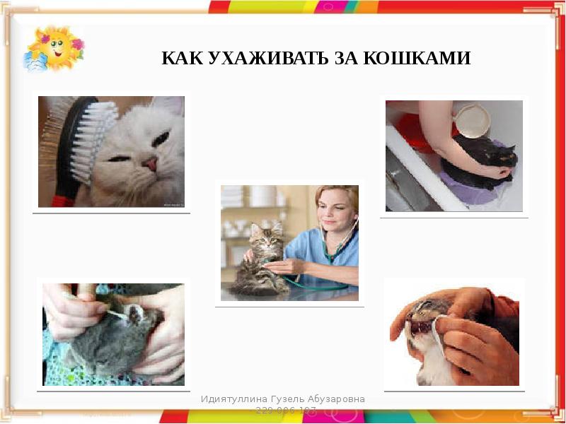 Рисунок как ухаживать за домашними животными