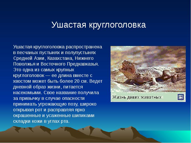 Сообщение животные пустыни окружающий мир 4 класс. Сообщение о животных пустыни. Доклад о животных пустыни. Презентация на тему животные пустыни. Животные пустынь доклад.