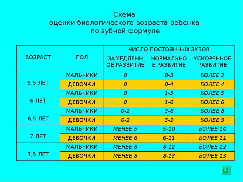 Формула возраст. Оценка уровня биологической зрелости по числу постоянных зубов. Биологический Возраст по зубной формуле. Оценка биологического возраста по формуле. Оцените биологическую зрелость по зубной формуле.