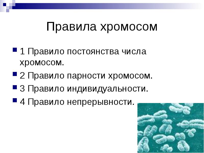 Хромосома это в биологии кратко