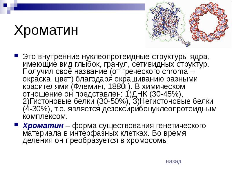 Структура хроматина