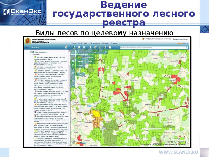 Государственный лесной реестр карта