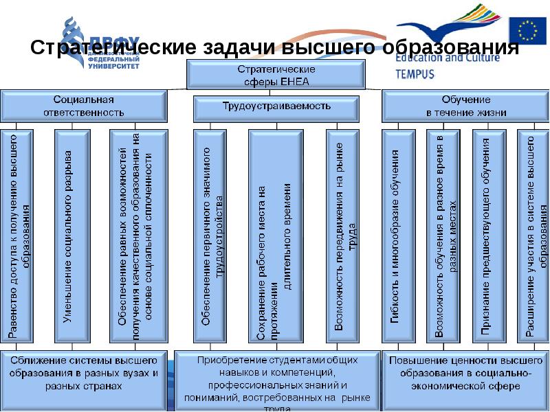 Основные цели и задачи общего образования. Цели высшего образования. Задачи высшего образования.