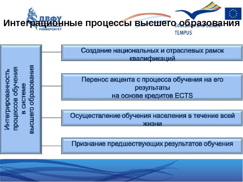 Область высшего образования