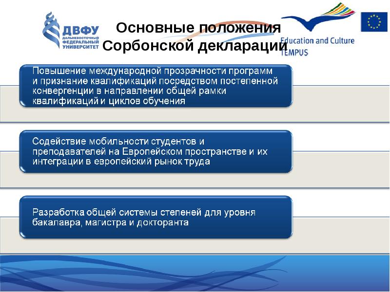 Основные положения декларации. Ключевые положения Сорбонской декларации. Сорбонская декларация 1998 основные положения. Основное положение декларации.