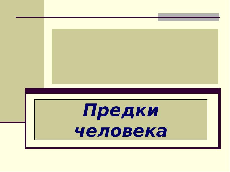 Предки человека Предки человека