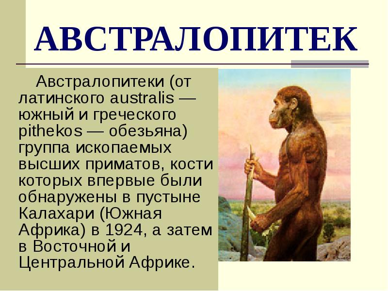 АВСТРАЛОПИТЕК
Австралопитеки (от латинского australis — южный АВСТРАЛОПИТЕК
Австралопитеки (от латинского australis — южный