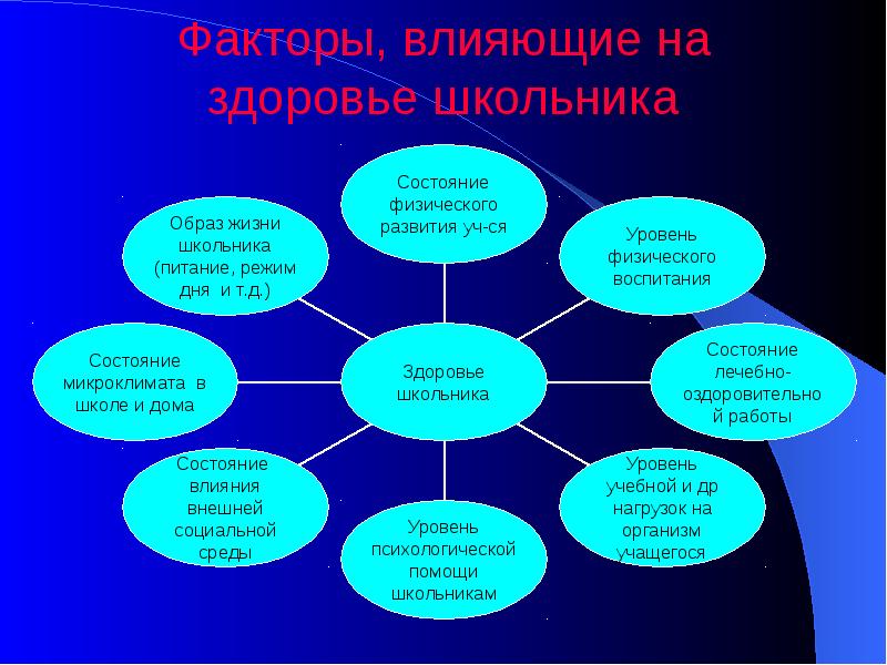 Проект о жизни школьника