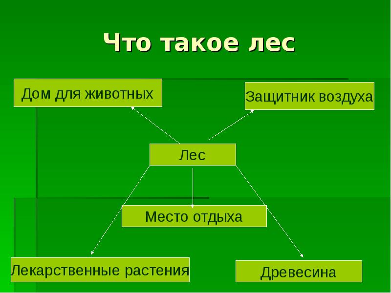 Сообщество окружающий мир 4. Природное сообщество лес презентация. План природного сообщества лес. Сообщество леса 4 класс. План изучения природного сообщества лес.