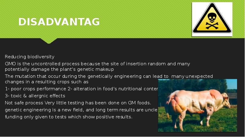 DISADVANTAG  Reducing biodiversity  GMO is the uncontrolled process because