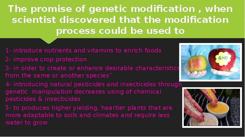 The promise of genetic modification , when scientist discovered that the