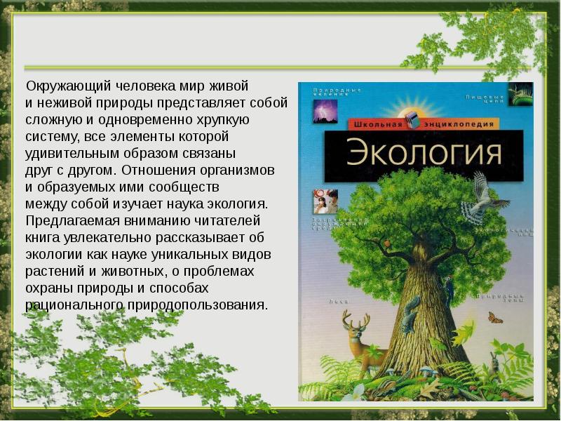 Окружающий мир кратко. Книги по экологии. Книги по экологии окружающий мир. Детские книги про экологию. Книги по экологии для окружающего мира.