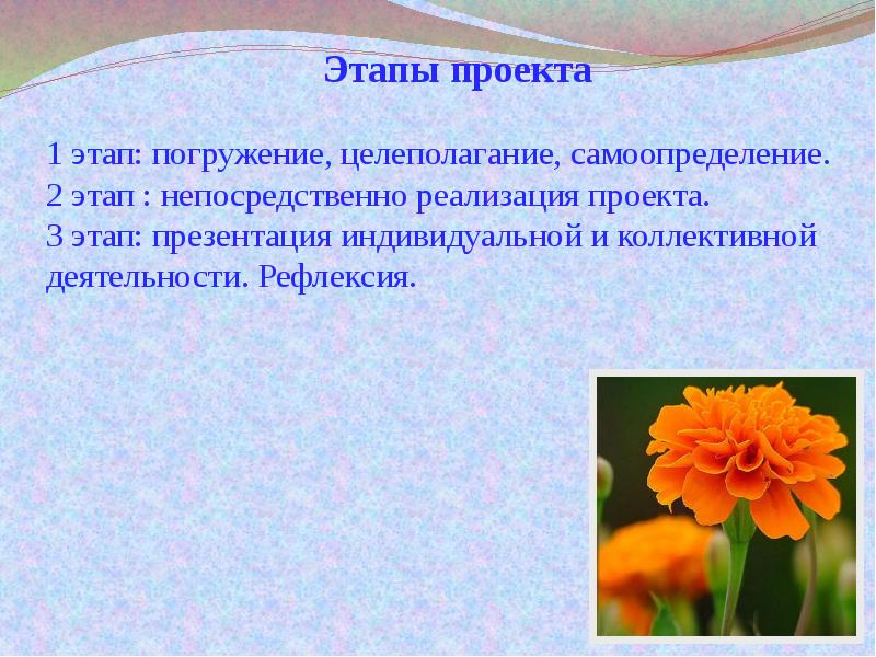 МБДОУ Детский сад № 35 Галерея Альбом