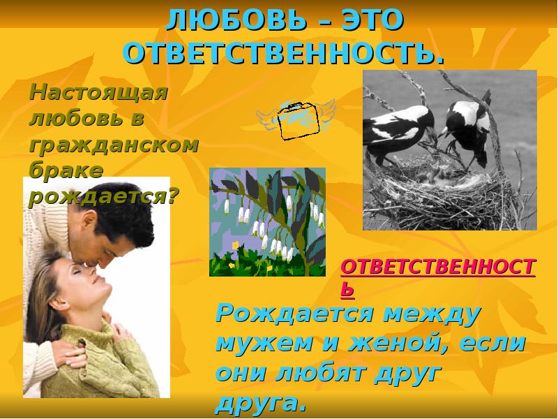 Любовь и ответственность. Любовь это ответственность. Любовь происхождение брака. Ответственность в семье. Любовь происхождение брака реферат.