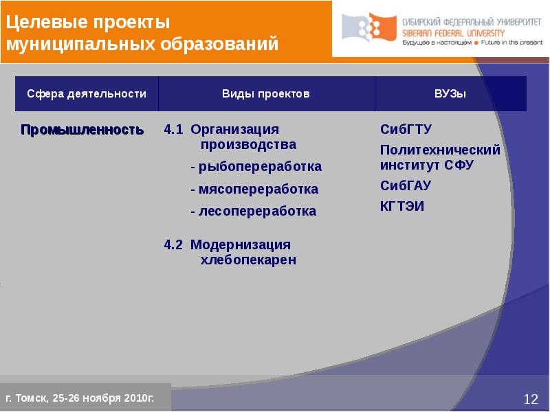 Целевой проект. Целевой проект это. Виды муниципаль проектов. Муниципальный целевой проект. Виды проектов в вузе.