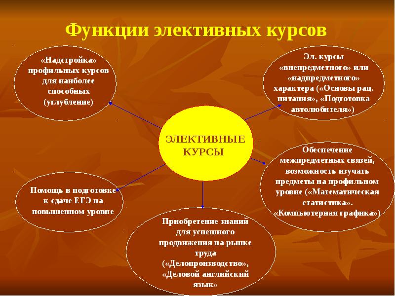 Функция элективного курса. Функция элективного курса