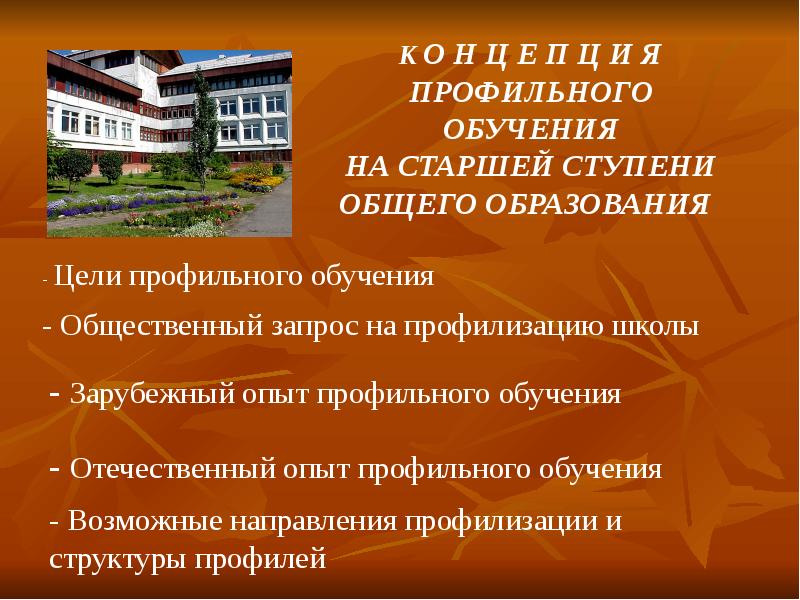 Ступени общего образования является. Профили обучения на старшей ступени общего образования.