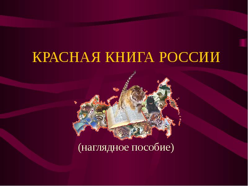 Мир в красном книга 3. Красная книга выставка культура РФ. Наглядные пособия по теме красная книга. Армянское красное книга.