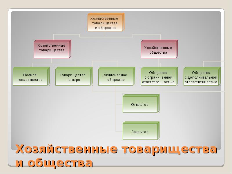 Полуторная форма организации. Российские хозяйственные организации