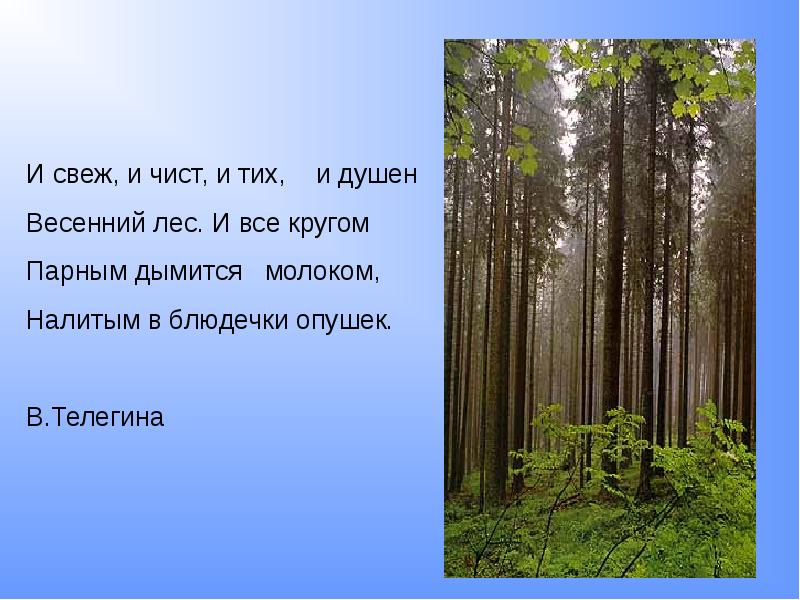 Душно и тихо. Душно и тихо