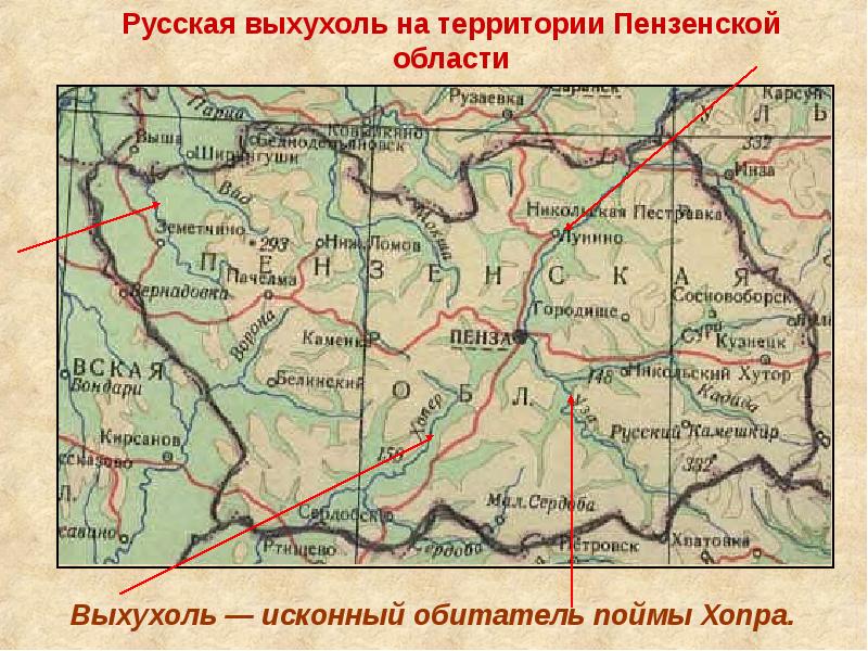 Карта Пензенской Области Фото