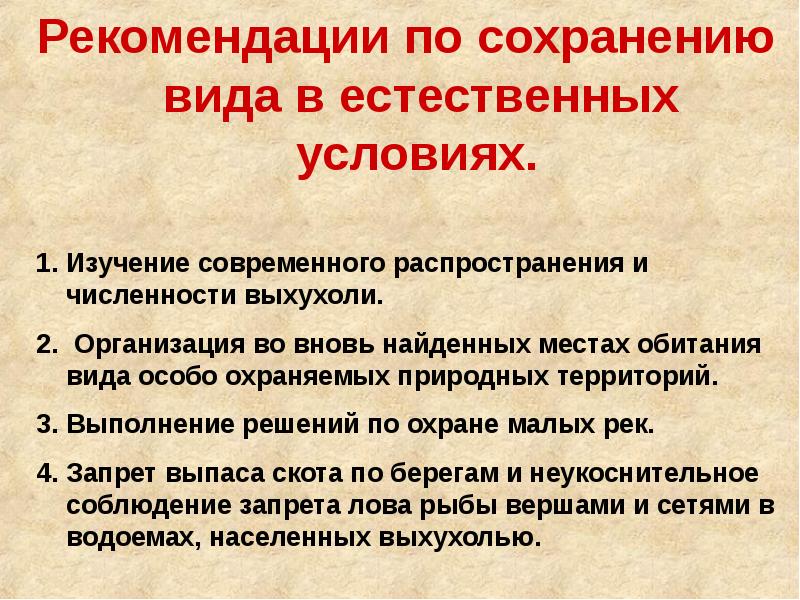 Сохранение видов. Рекомендации по сохранению воды. Рекомендации по сохранению РЗЧ. Рекомендации по сохранению воды в семье. Рекомендации по сохранению ООПТ.