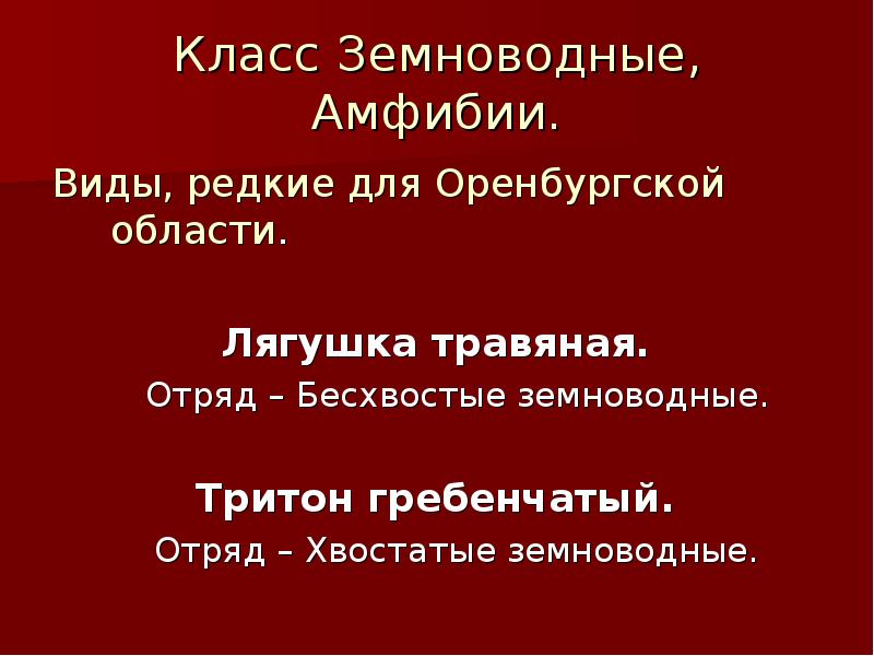 Презентация красная книга оренбуржья