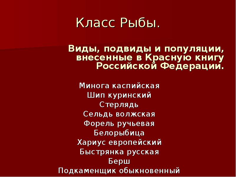 Презентация растения и животные красной книги оренбургской области