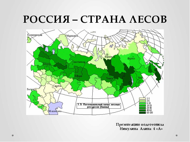 Какой процент россии занимают лесные зоны