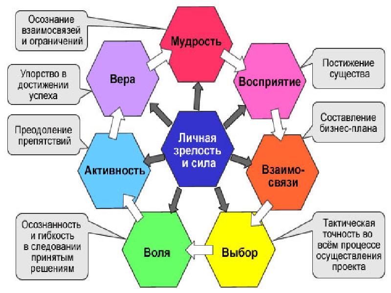 Важные элементы успешных проектов