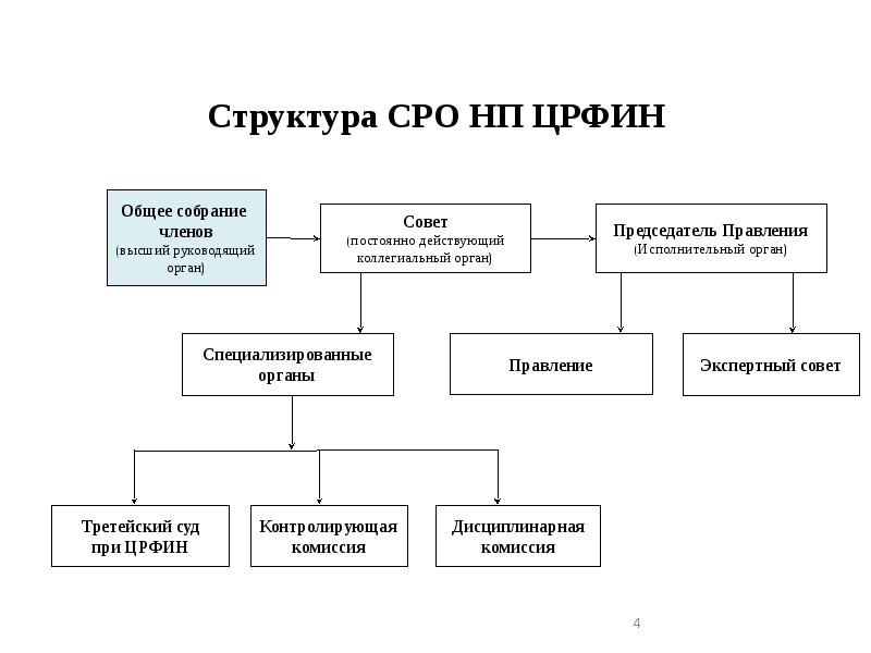 Структура некоммерческой организации схема