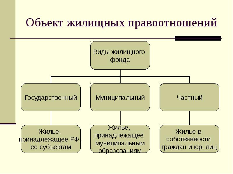 Виды правоотношений план