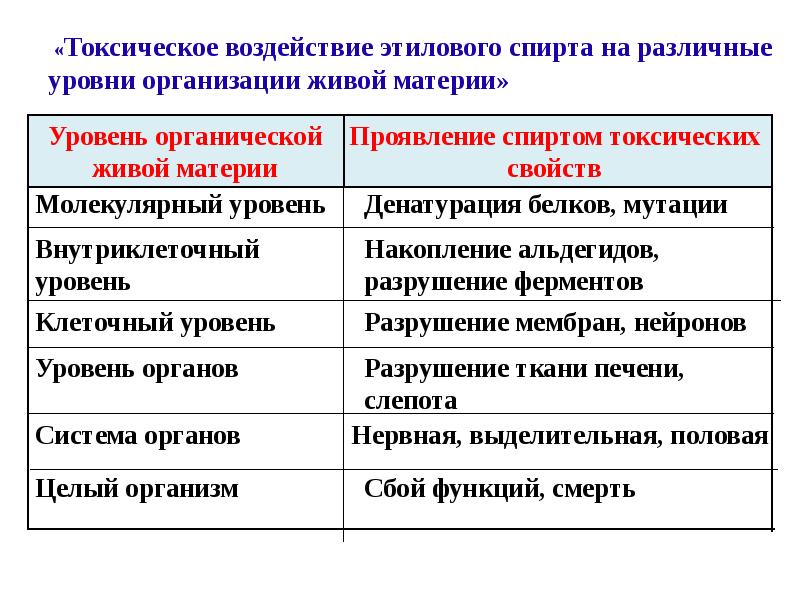 Влияние этилового спирта на организм человека проект