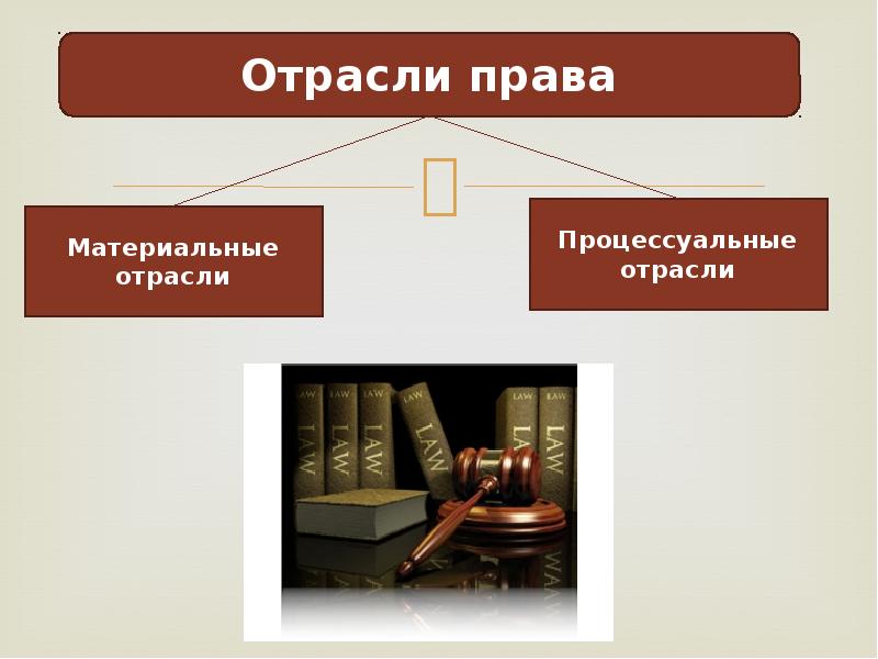 Урок процессуальные отрасли права 10 класс боголюбов презентация