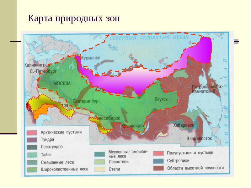 Карта природных зон россии