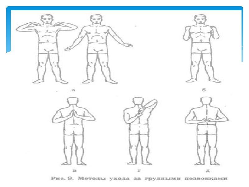 Проект правильная осанка залог здоровья 10 класс